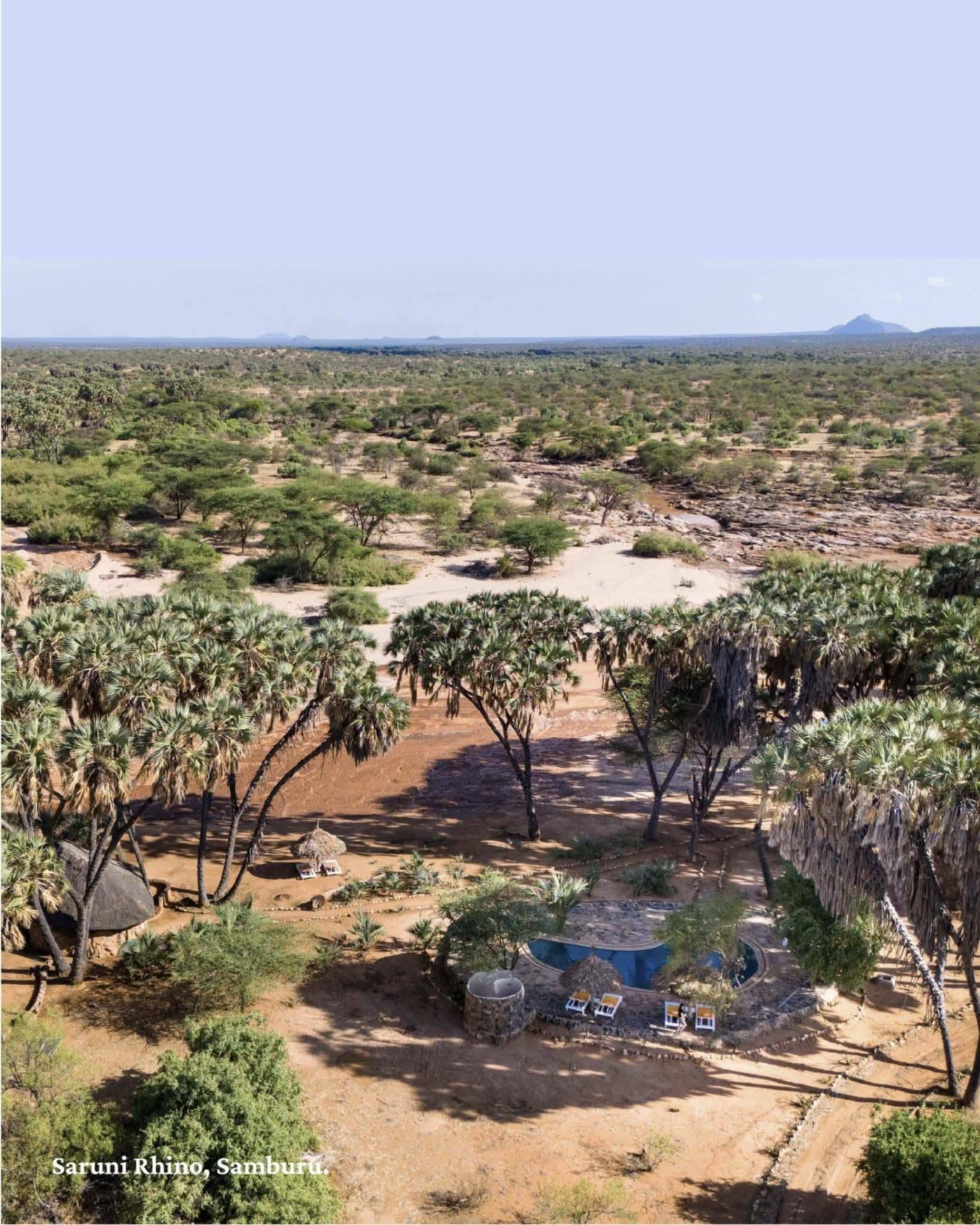 Camp among doum palms in Samburu